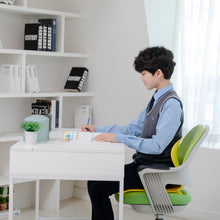 Load image into Gallery viewer, The Loel - 韓國護脊護腰坐姿矯正椅背 Korea Spine-guard Sitting Posture Correction Flying Chair